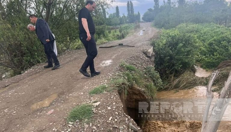 19-41-35-d3c91a30705b8d76011a55e16b0cda16