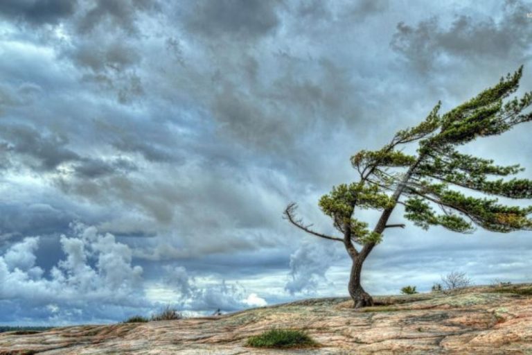 16-34-31-657ec056e1367657ec056e13681702805590657ec056e1365657ec056e1366