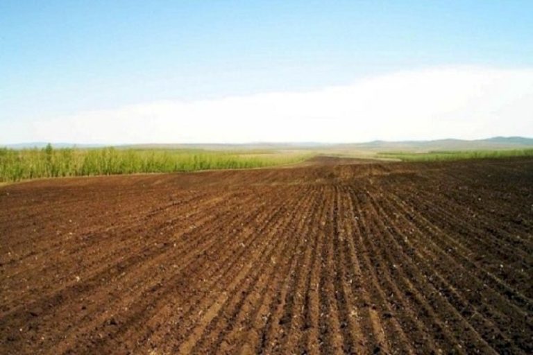 67111ba6896a767111ba6896a8172917443867111ba6896a567111ba6896a6