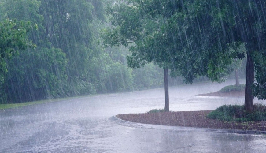 e0e582af0d4bdfcb14a46b139ee8a0aa