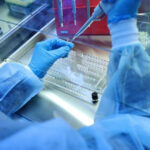 virus_3_1778673150