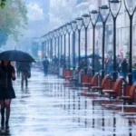 baki_yagis_hd_1792842690